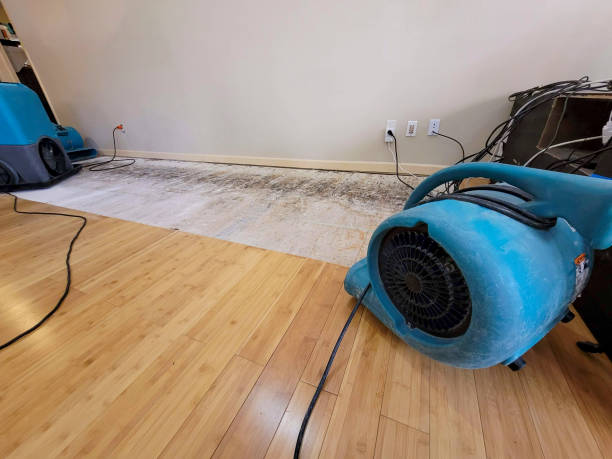 Professional Water Damage Repair technician working in Wernersville, PA